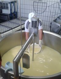 herst camembert2