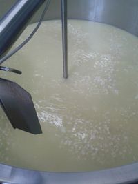 herst camembert3